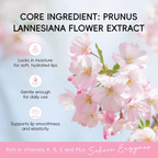 Japan Sakura Overnight Lip Balm Mask — Deep Hydrating & Moisturizing Lip Care Cream That Evens Lip Tone, Softens Lip Lines, Fights Dryness & Flaking with Sakura Extract, Shea Butter, Jojoba Oil & Vitamin E — 3.5g