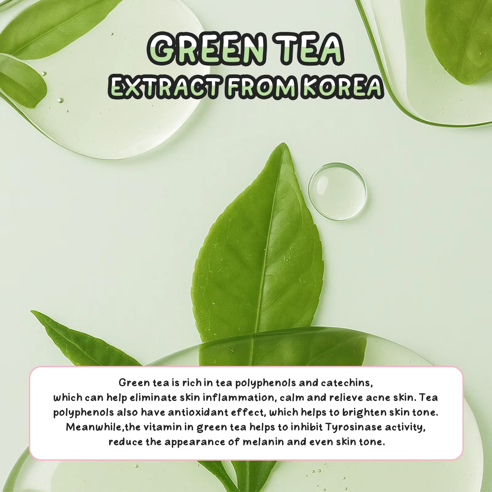 Green Tea Toner 100ml – Deep Hydrating, Pore Minimizing & Oil Control Facial Mist with Witch Hazel & Seaweed for Oily and Sensitive Skin