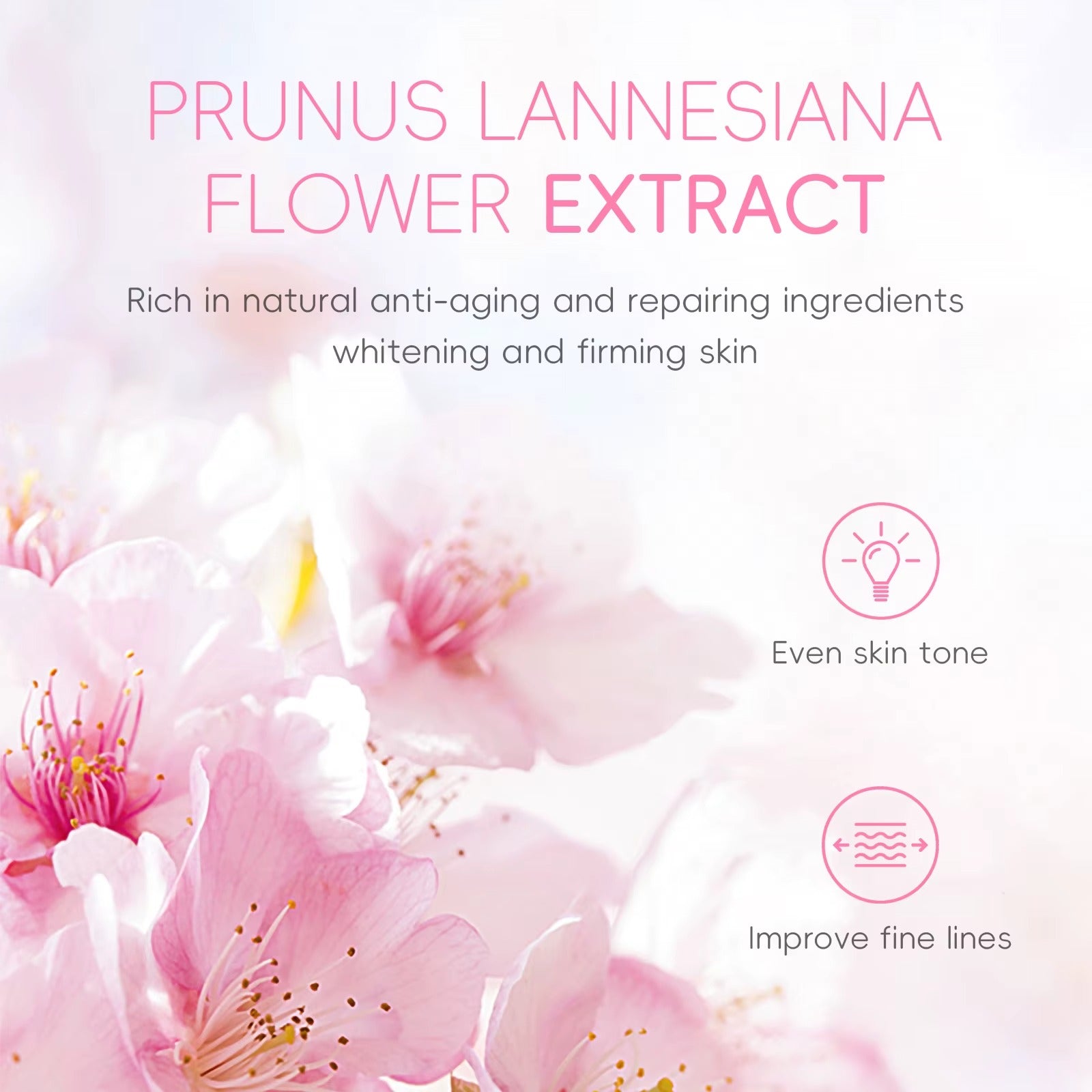 Japan Cherry Blossom Eye Serum Roller 15ml — Targets Dark Circles, Puffiness & Fine Lines — Niacinamide, Vitamin C & Hyaluronic Acid