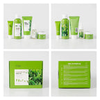 Green Tea 5-Piece Anti-Aging Skincare Set — Cleanser, Toner, Serum, Eye Cream & Face Cream for Oily & Dry Skin