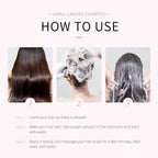 Compact-sized Japan Sakura Shampoo 200ml — Deep Moisturizing, Smoothing & Nourishing Hair Cleanser for Silky, Frizz-Free Hair — All Hair Types