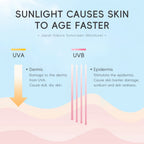 Japan Sakura Sunscreen SPF 50 PA+++ — Korean Face Sunscreen Cream with Niacinamide & Hyaluronic Acid, Waterproof UV Protection 50g