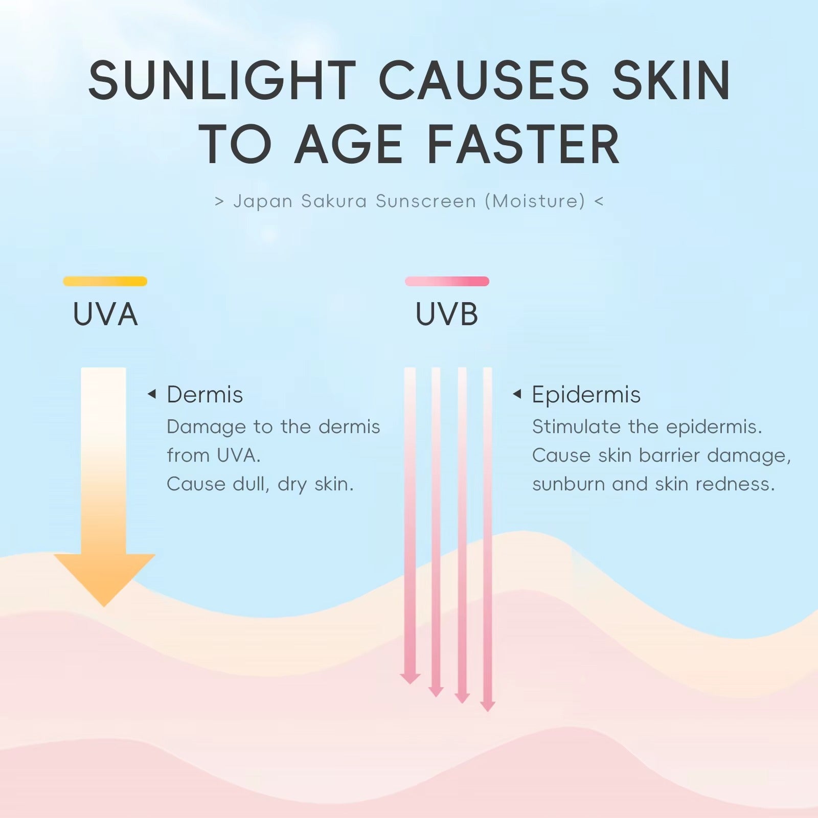 Japan Sakura Sunscreen SPF 50 PA+++ — Korean Face Sunscreen Cream with Niacinamide & Hyaluronic Acid, Waterproof UV Protection 50g