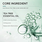 Bye Bye Acne Tea Tree Extract Anti-Aging Skincare Set with Hyaluronic Acid – Nourishing Face Care Set for Clear, Hydrated & Youthful Skin