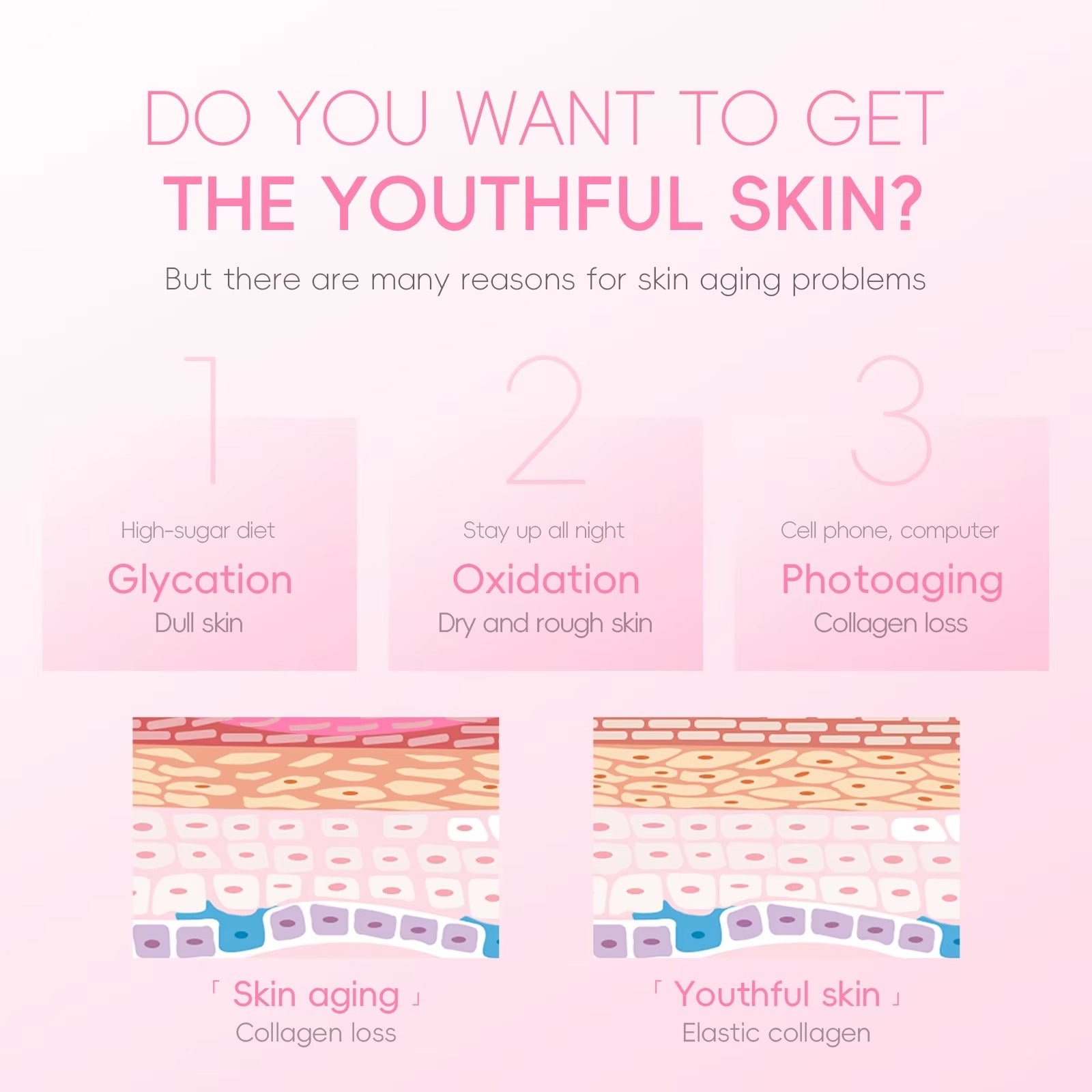 Japan Cherry Blossom Triple Lipid Restore Moisturizing Face Cream — Anti-Aging, Brightening & Nourishing Skincare for All Skin Types (40ml)
